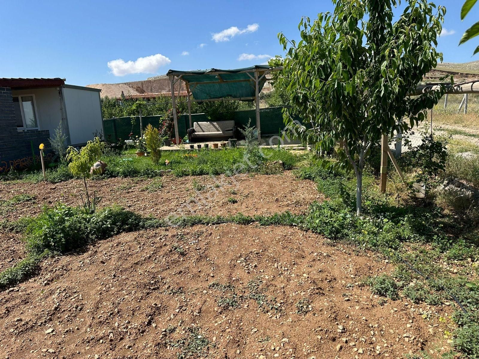 Meram'da Doğayla İç İçe, Yetişmiş Ağaçlı, Hazır Kurulu Düzen !!! - Görsel 19