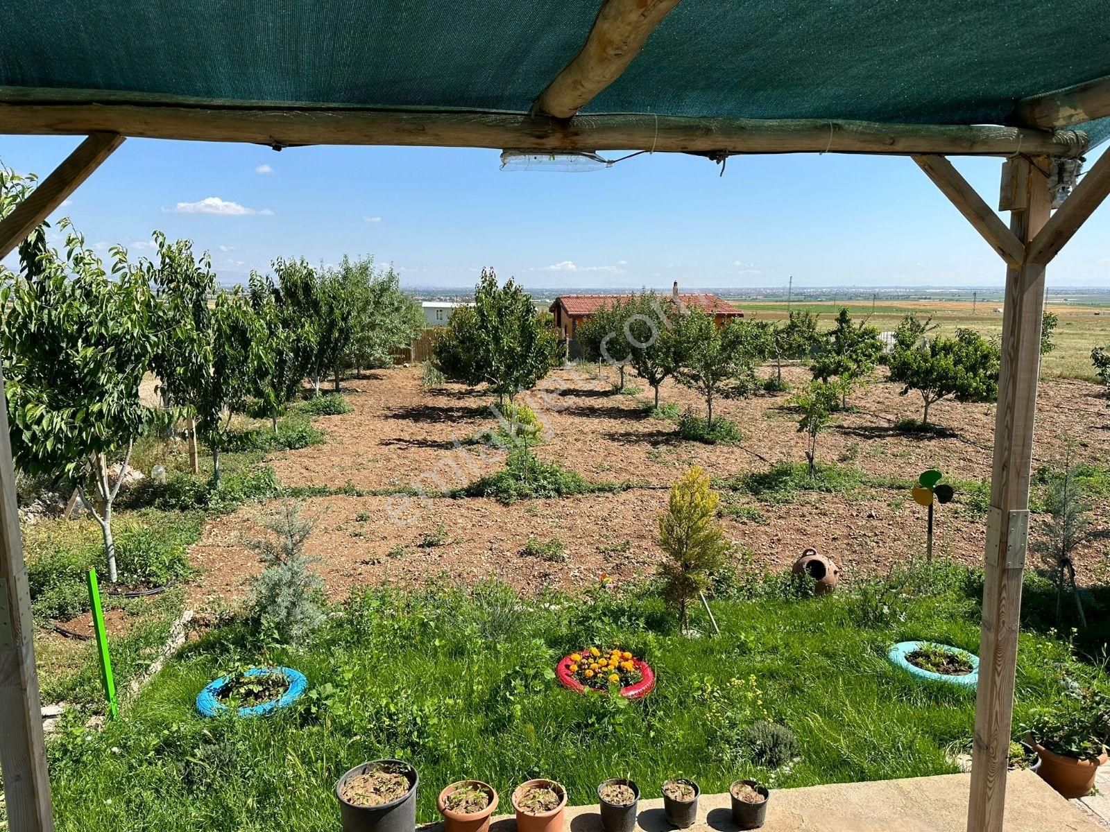 Meram'da Doğayla İç İçe, Yetişmiş Ağaçlı, Hazır Kurulu Düzen !!! - Görsel 2