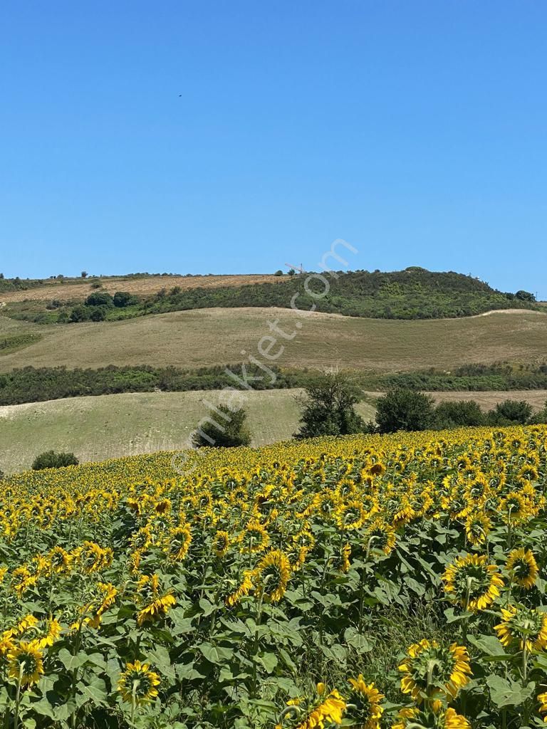 Remax Ahmet'ten Satılık 1.362 M2 Tarla Arnavutköy/yassıören Mh. - Görsel 13