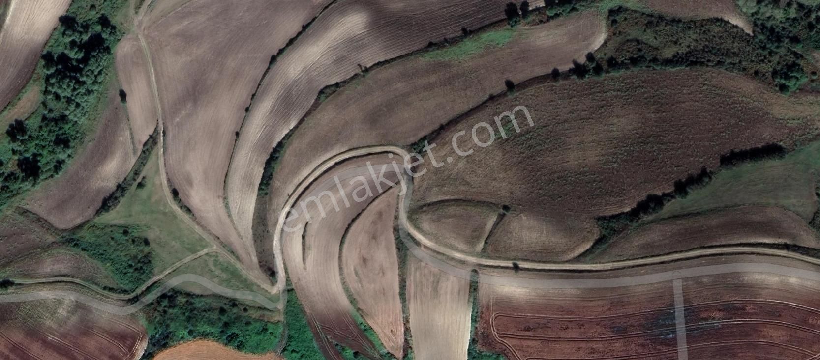 Remax Ahmet'ten Satılık 1.362 M2 Tarla Arnavutköy/yassıören Mh. - Görsel 19