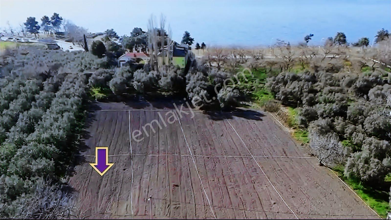 İznik, Selçuk' Ta Satılık Konut İmarlı Arsa - Görsel 2