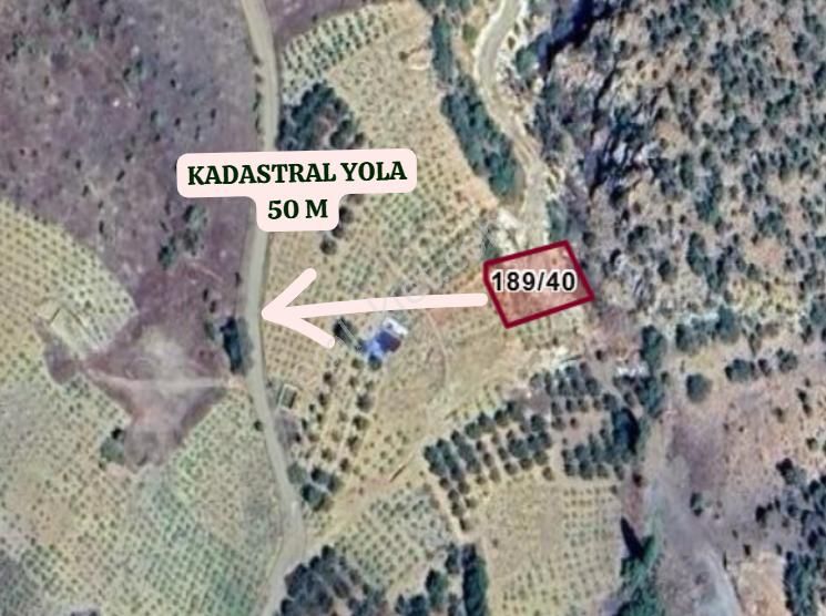 Konya Hadim Göynükkışla Köyünde 399 M² Bağ Satılıktır - Görsel 3