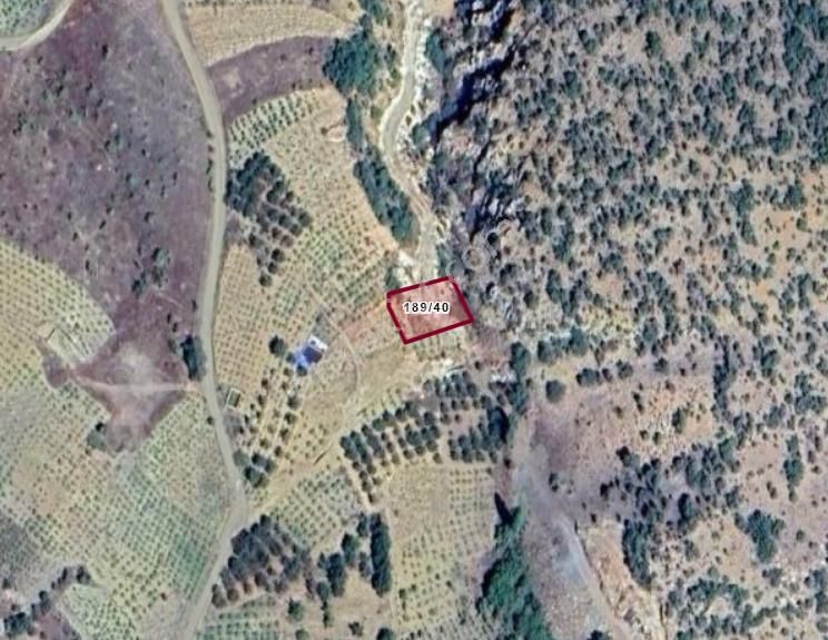 Konya Hadim Göynükkışla Köyünde 399 M² Bağ Satılıktır
