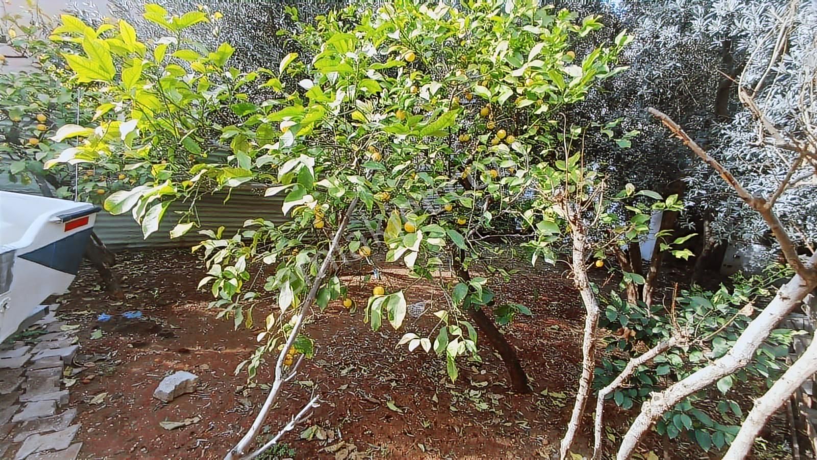 3ev Emlak'tan Barış Mh. 2+1 2 Katlı Satılık Müstakil Ev - Görsel 20