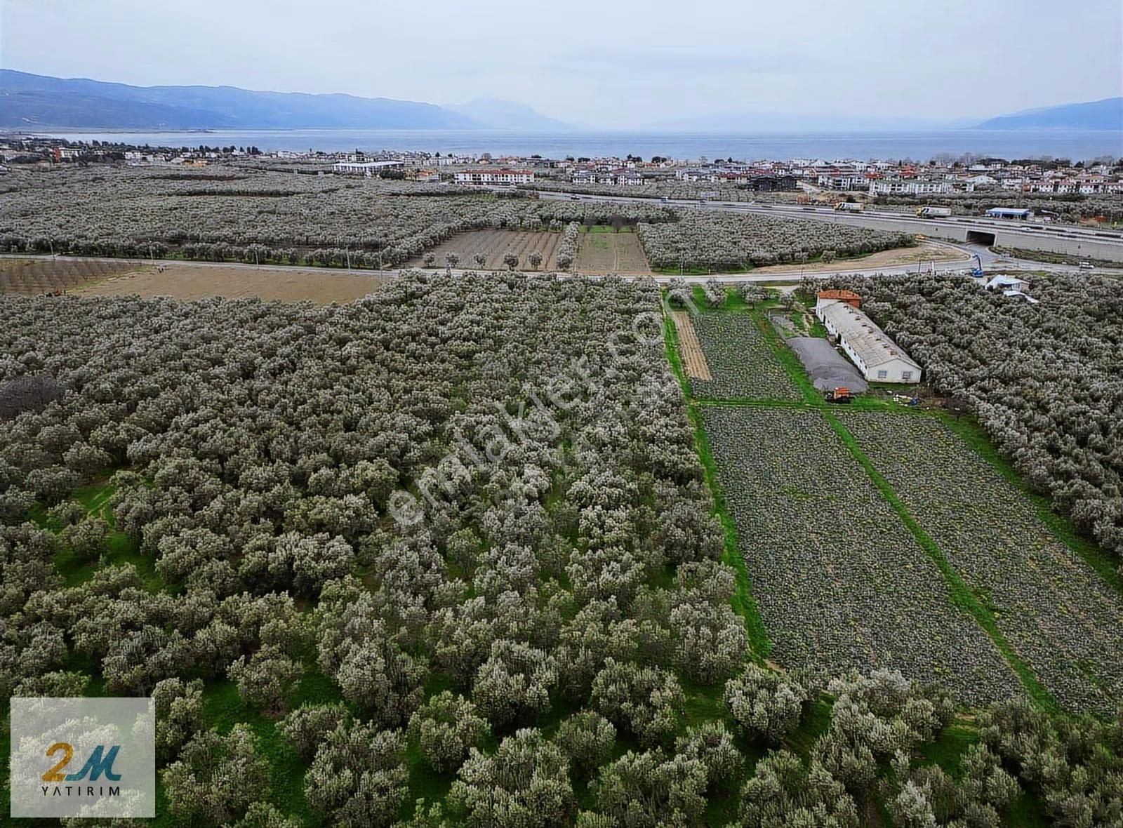 2m Yatırım'dan İznik Merkezde Satılık Fırsat Zeytinlik