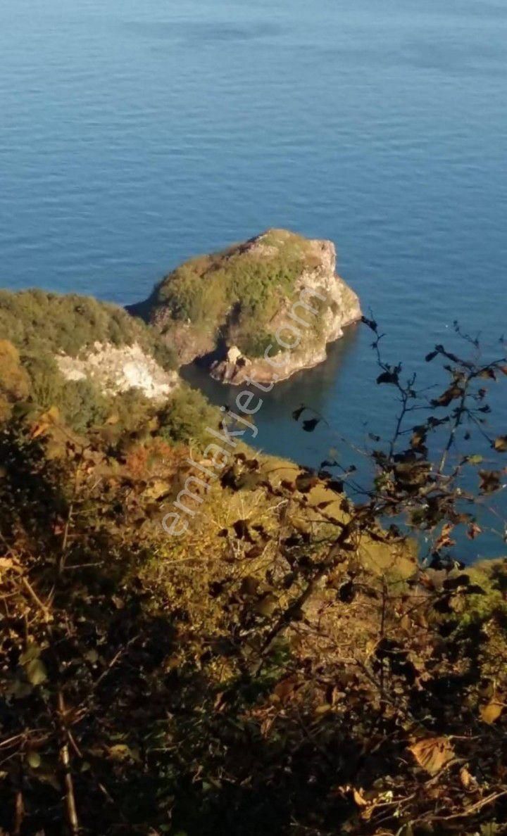 Perşembe Ramazan Mah. Pdejesi Hazır 1556 M2 Üç Bungolov Ev Prejesiy İle Satılık - Görsel 6