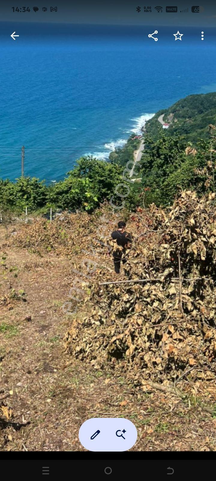 Perşembe Ramazan Mah. Pdejesi Hazır 1556 M2 Üç Bungolov Ev Prejesiy İle Satılık - Görsel 7