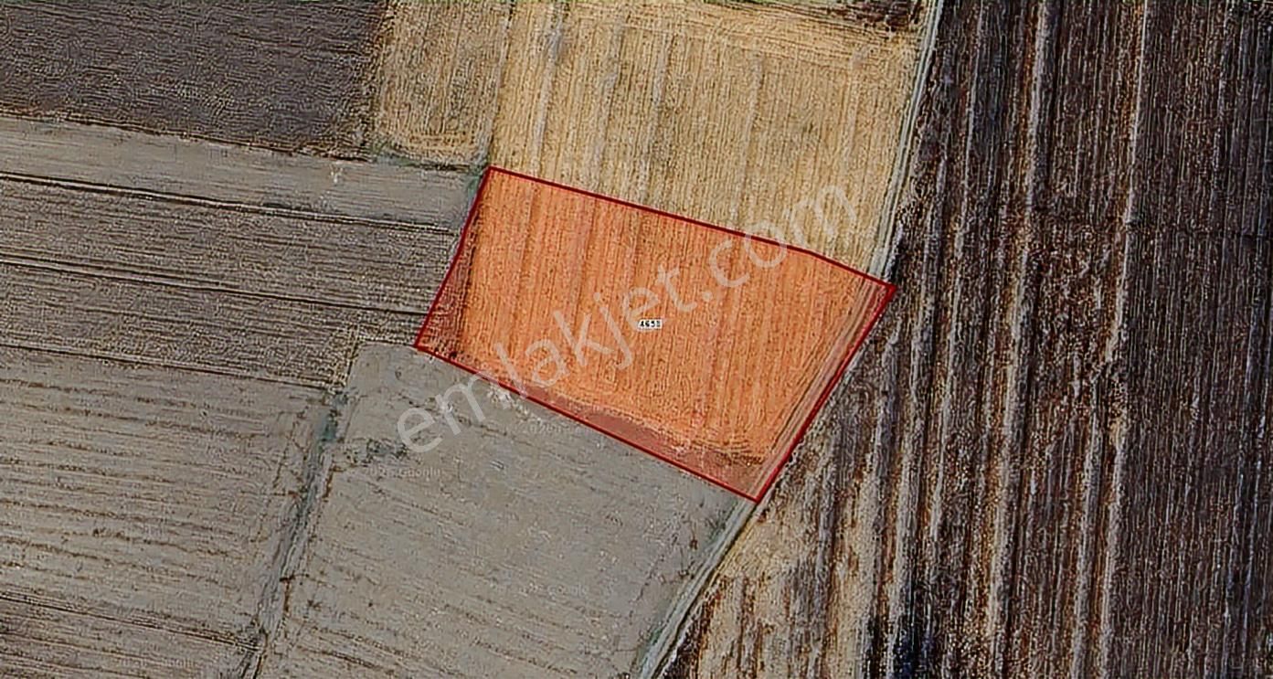 Bursa Karacabey Harmanlı Yatırımlık Arazi