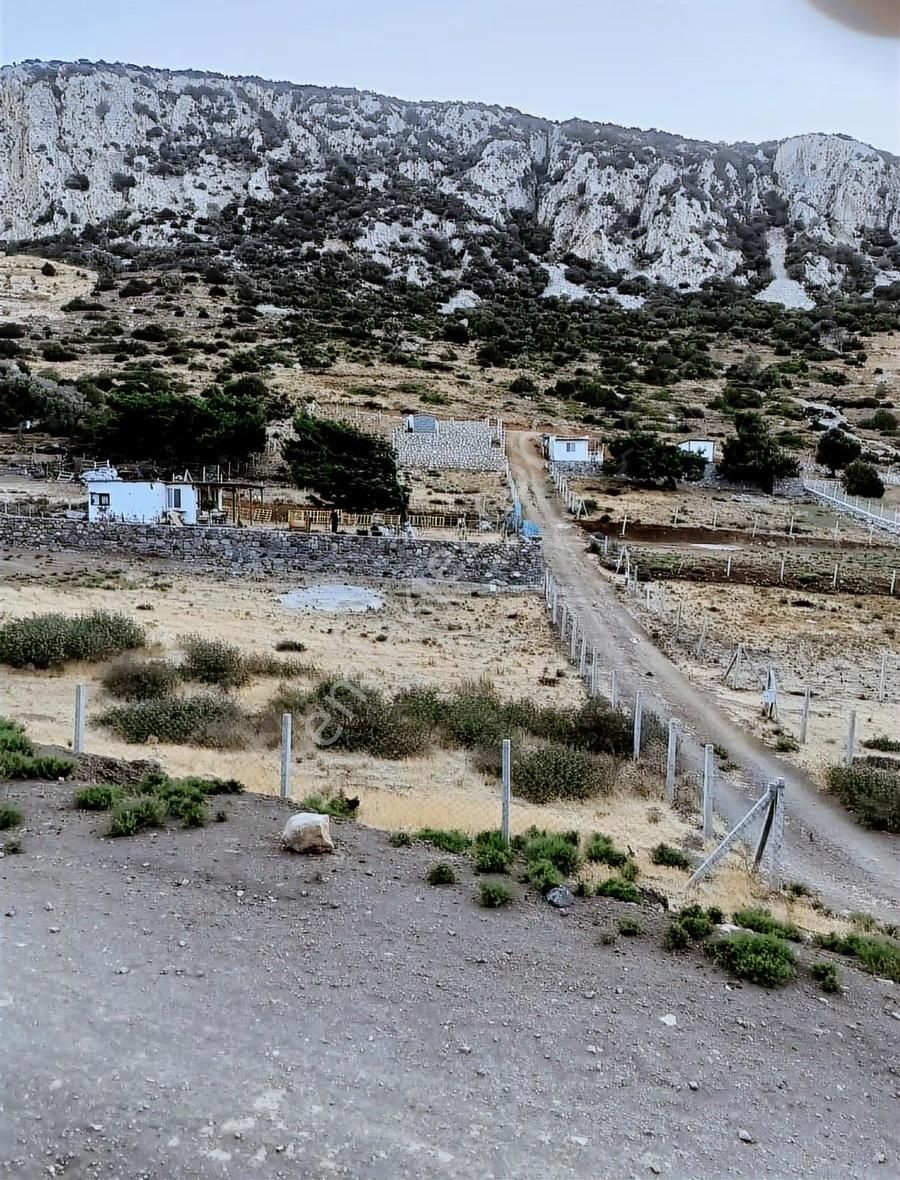 Mordoğan Çatalkaya'da 851m² Fırsat Tarlası - Görsel 4