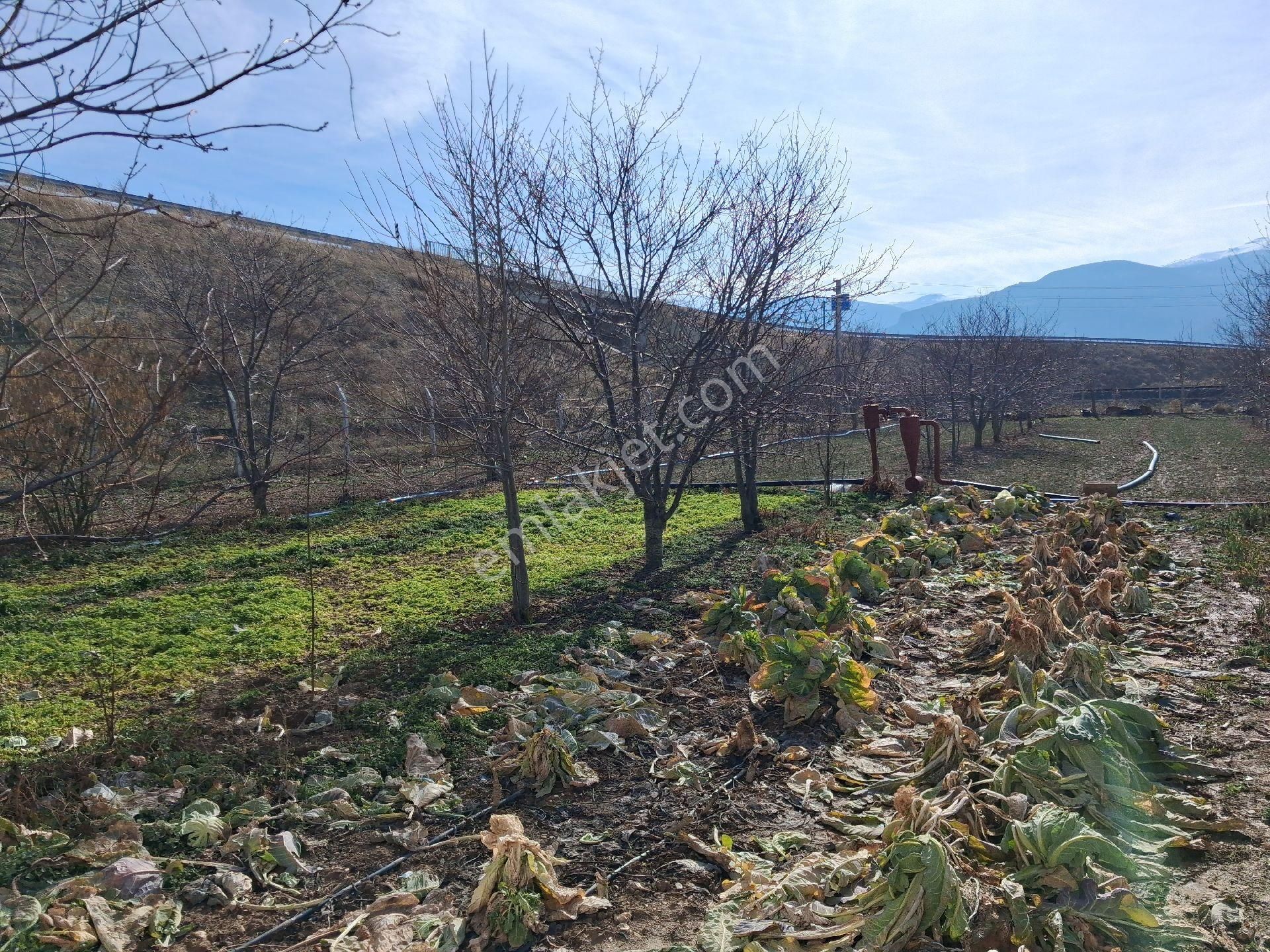 Dagli Emlaktan Dogrugöz Mahallesinde Dog - Görsel 24