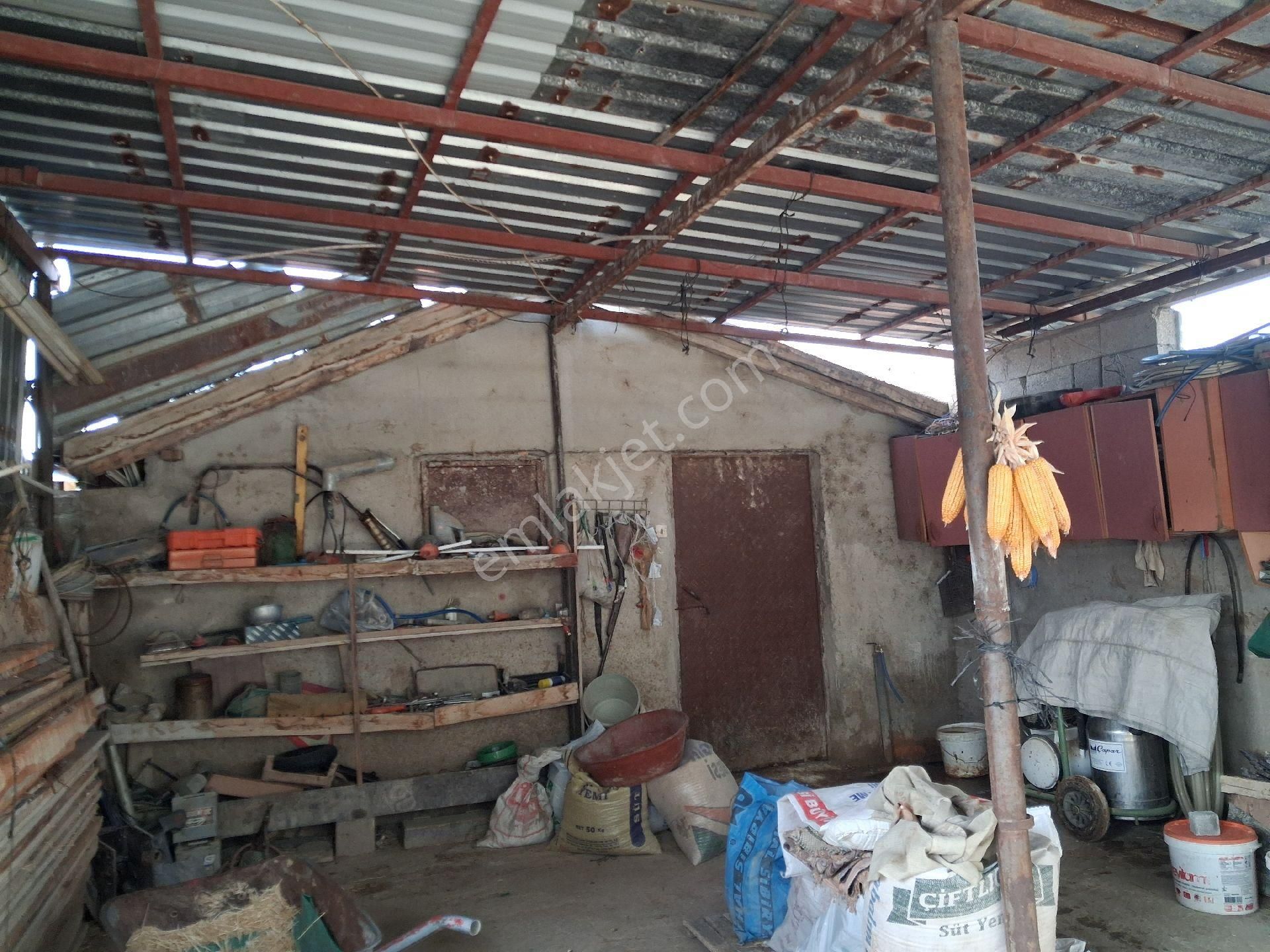 Dagli Emlaktan Dogrugöz Mahallesinde Dog - Görsel 19