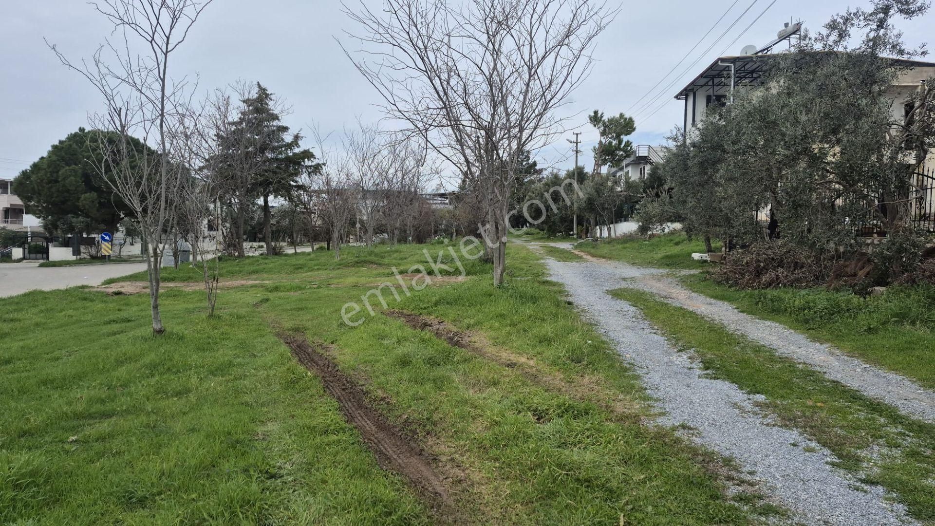 Didim Mersindere Mahallesi'nde Bahçeli Müstakil Ev - Görsel 29