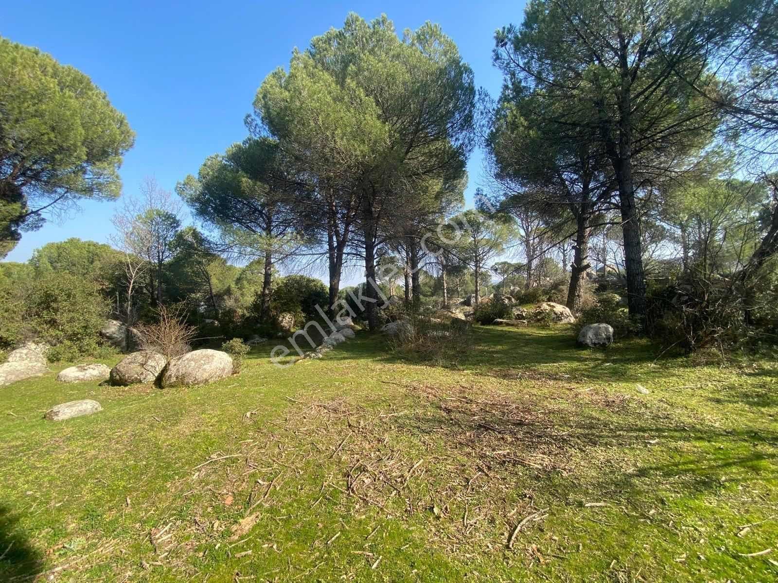 Kozak Yaylası Hisarköy'de Asfalt Cepheli Köy Kenarı 3.762 M² Bağ - Görsel 4