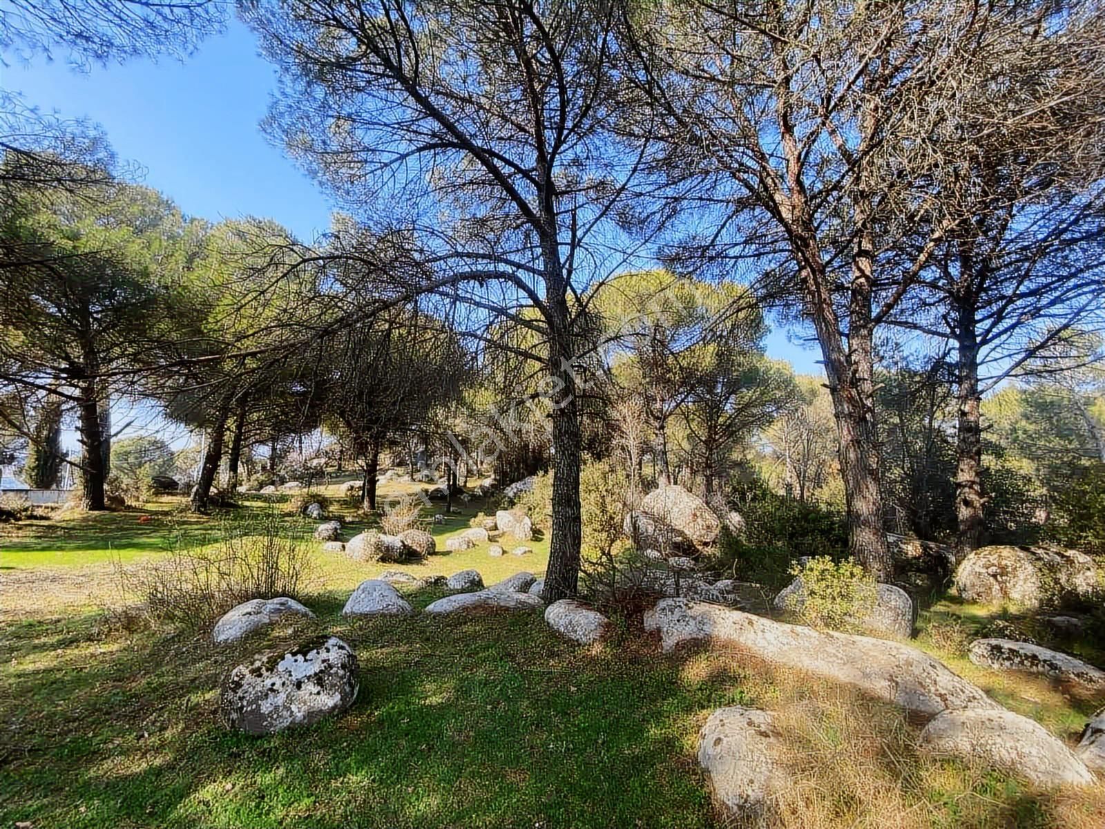 Kozak Yaylası Hisarköy'de Asfalt Cepheli Köy Kenarı 3.762 M² Bağ - Görsel 3