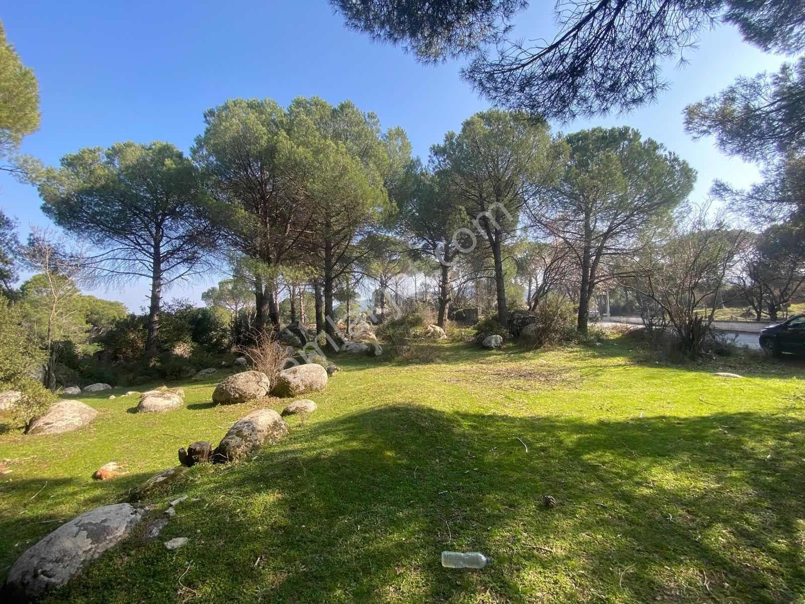 Kozak Yaylası Hisarköy'de Asfalt Cepheli Köy Kenarı 3.762 M² Bağ