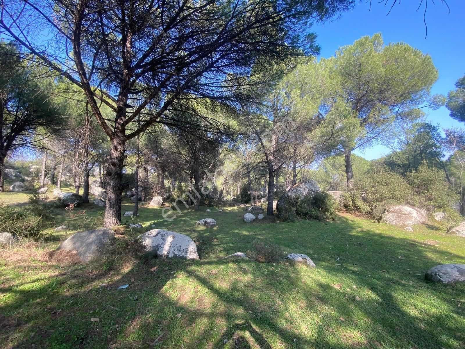 Kozak Yaylası Hisarköy'de Asfalt Cepheli Köy Kenarı 3.762 M² Bağ - Görsel 8