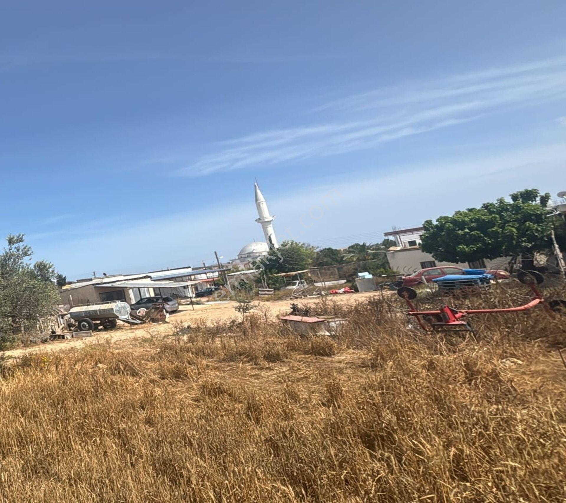 Bafra Da 2.483 M2 Satılık Arsa Yatırımlık Fırsat Yer - Görsel 5