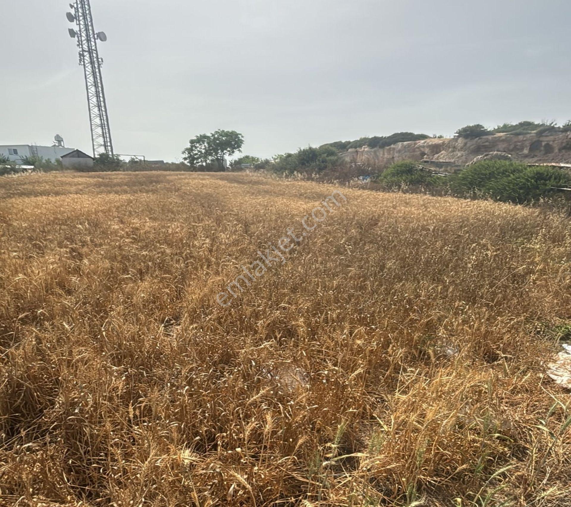 Bafra Da 2.483 M2 Satılık Arsa Yatırımlık Fırsat Yer - Görsel 17