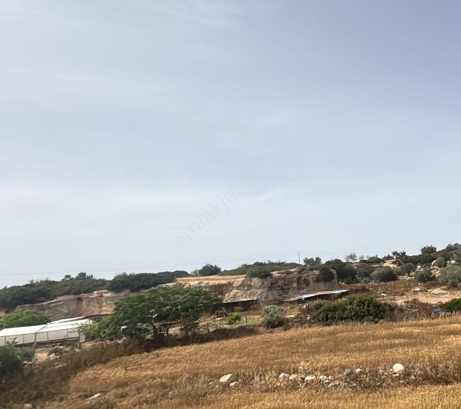 Bafra Da 2.483 M2 Satılık Arsa Yatırımlık Fırsat Yer - Görsel 15