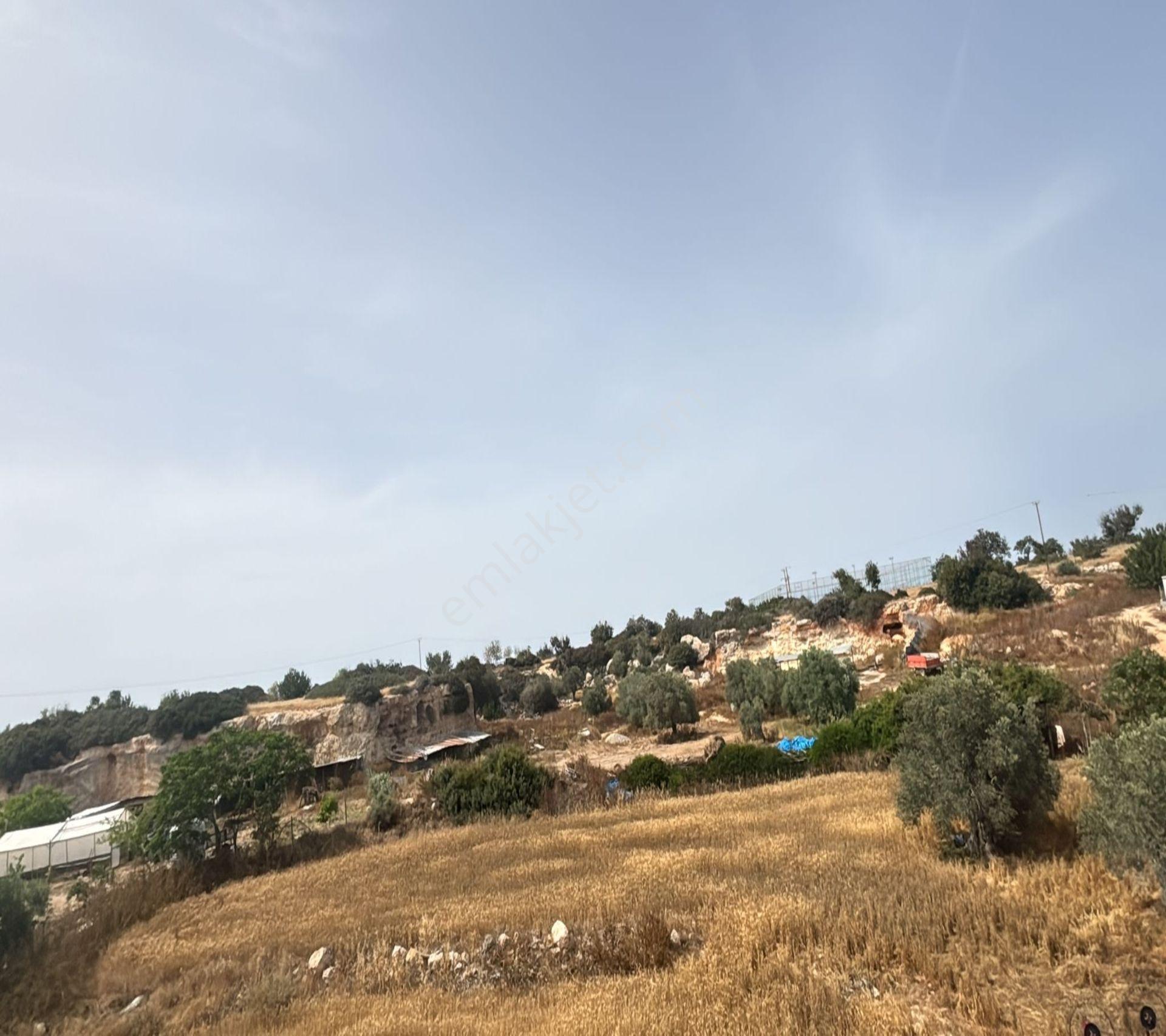 Bafra Da 2.483 M2 Satılık Arsa Yatırımlık Fırsat Yer - Görsel 14