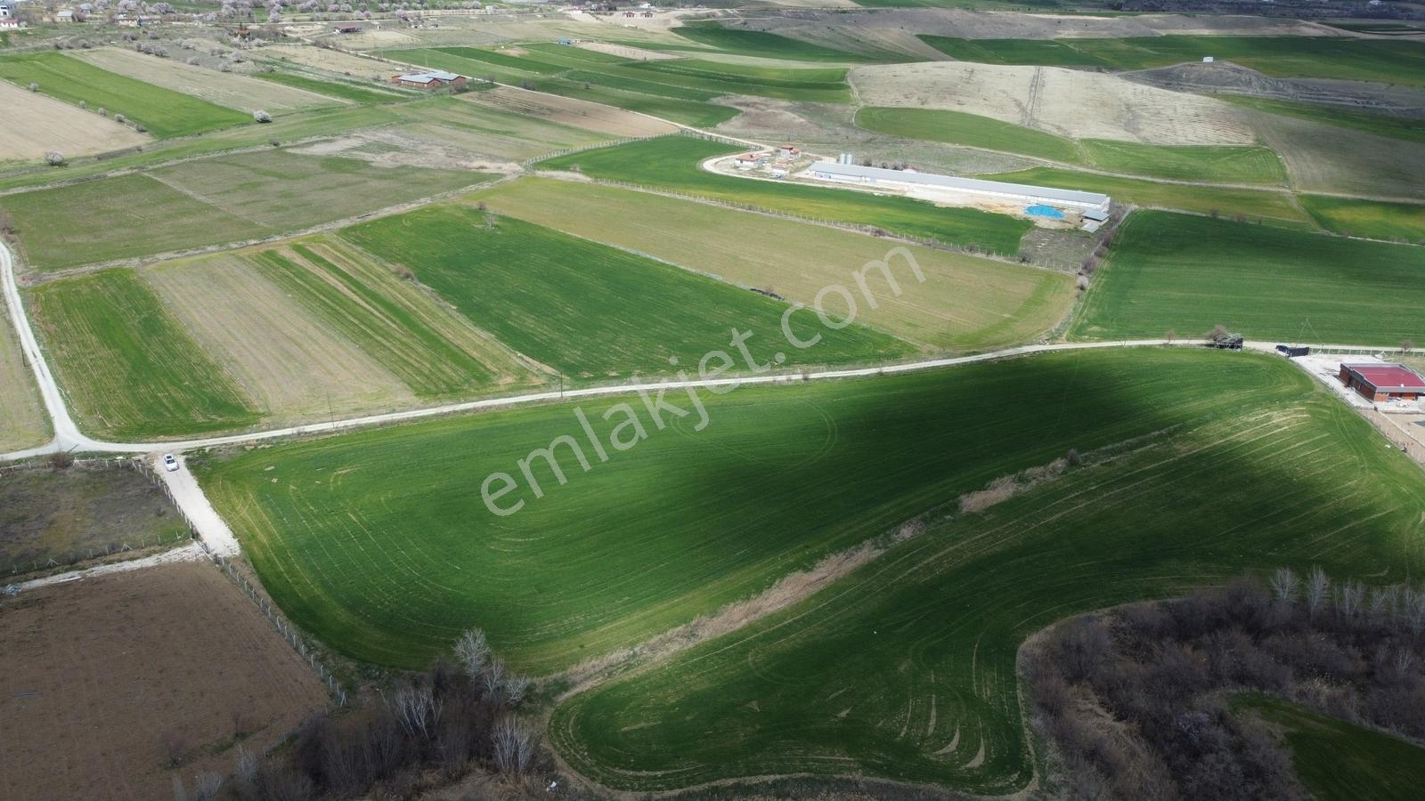 Emre Gm/den Merkez Beşik'te 15 Km Şehir Ve Cip Barajı Manzaralı - Görsel 5