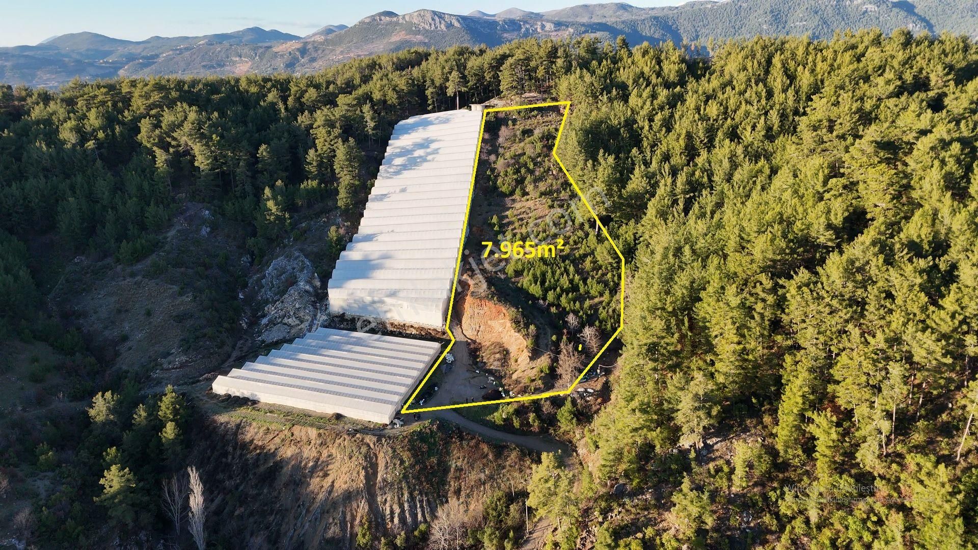 Satılık 7.965m² Tarla, Alanya-kayabaşı