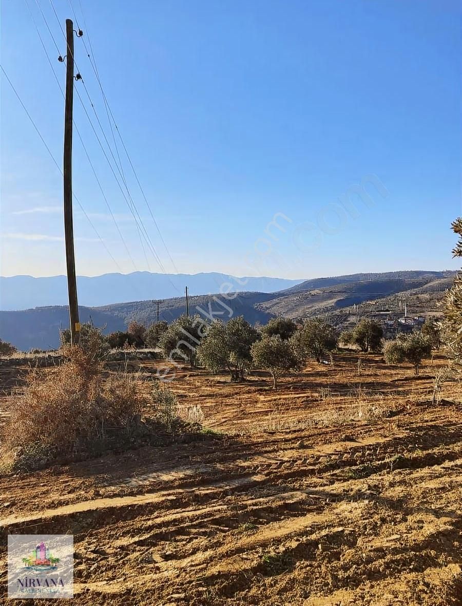 Aydın Karacasu Yaylada Hobi Bahçesi 3,629 M2 - Görsel 10