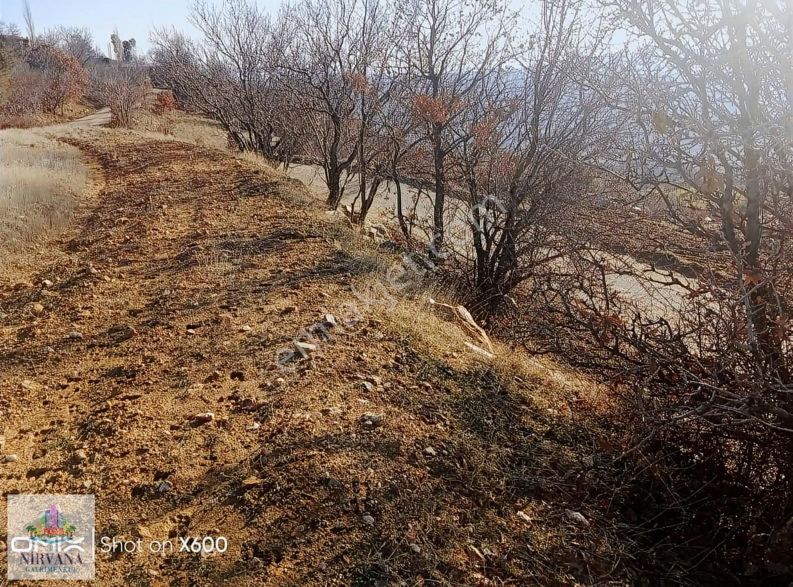 Aydın Karacasu Yaylada Hobi Bahçesi 3,629 M2