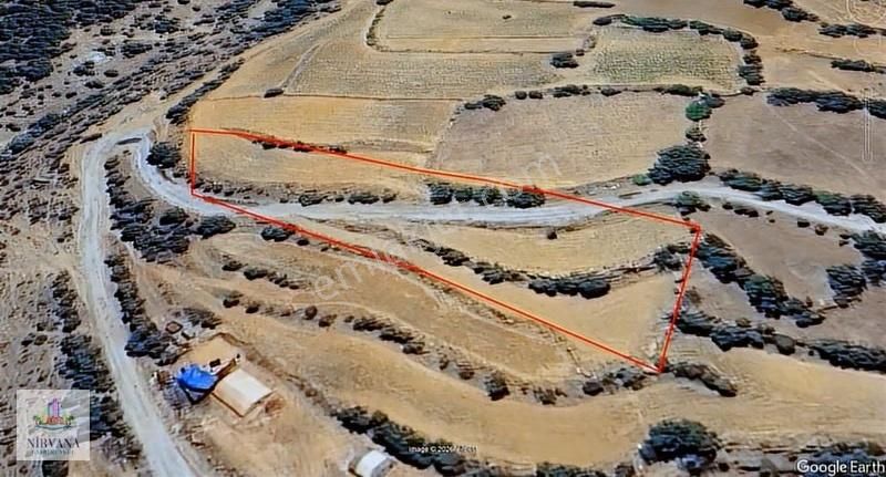 Aydın Karacasu Yaylada Hobi Bahçesi 3,629 M2 - Görsel 7