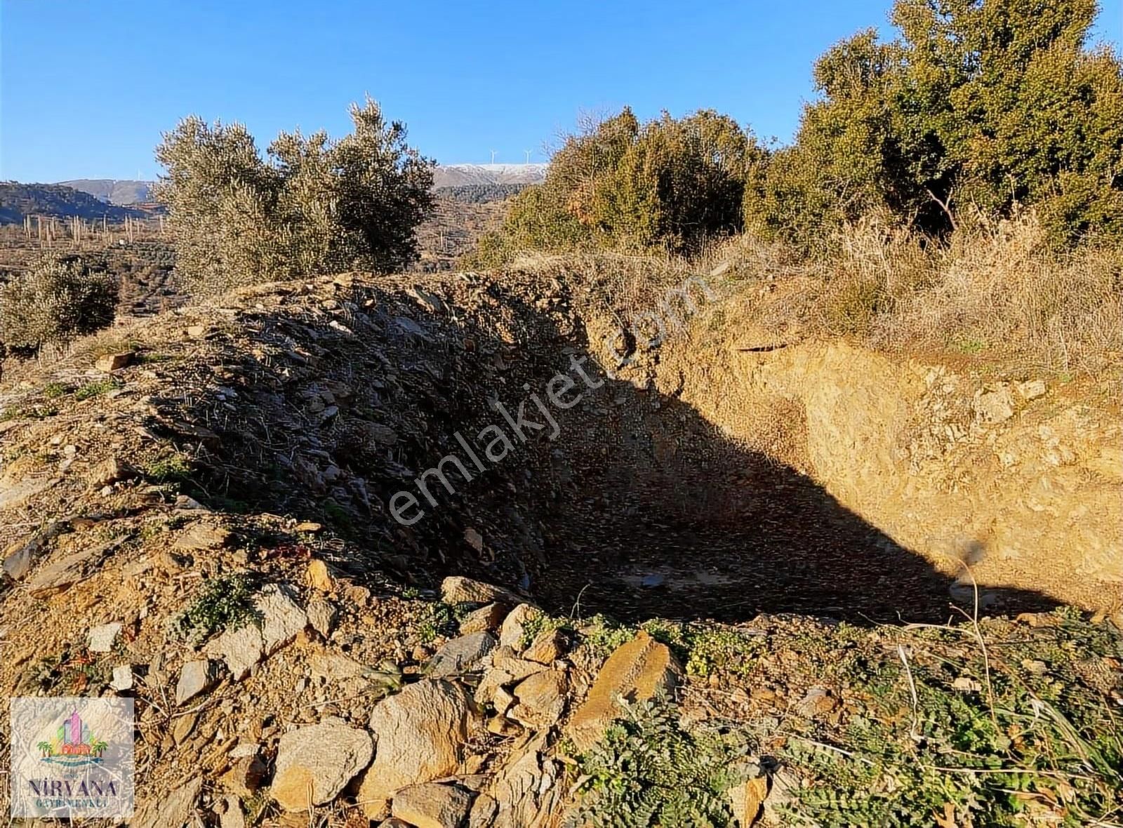 Aydın Karacasu Yaylada Hobi Bahçesi 3,629 M2 - Görsel 13