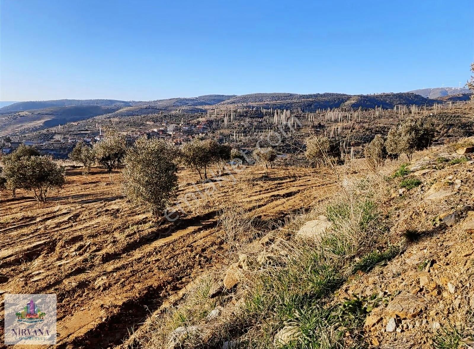 Aydın Karacasu Yaylada Hobi Bahçesi 3,629 M2 - Görsel 12