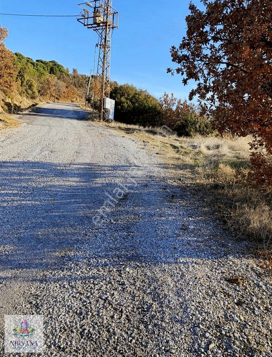 Aydın Karacasu Yaylada Hobi Bahçesi 3,629 M2 - Görsel 6