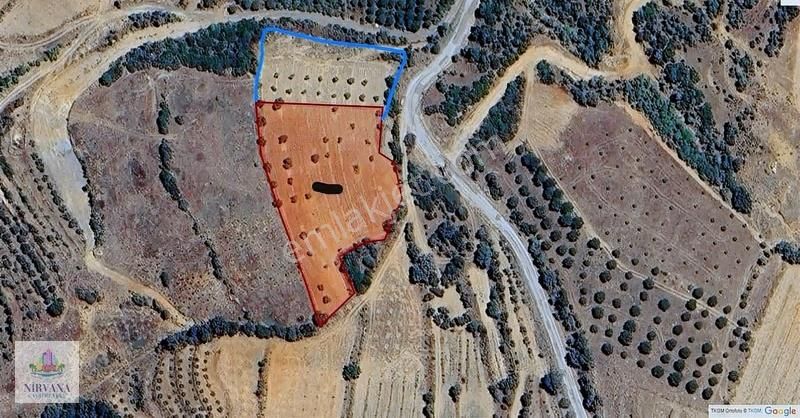 Aydın Karacasu Yaylada Hobi Bahçesi 3,629 M2 - Görsel 9