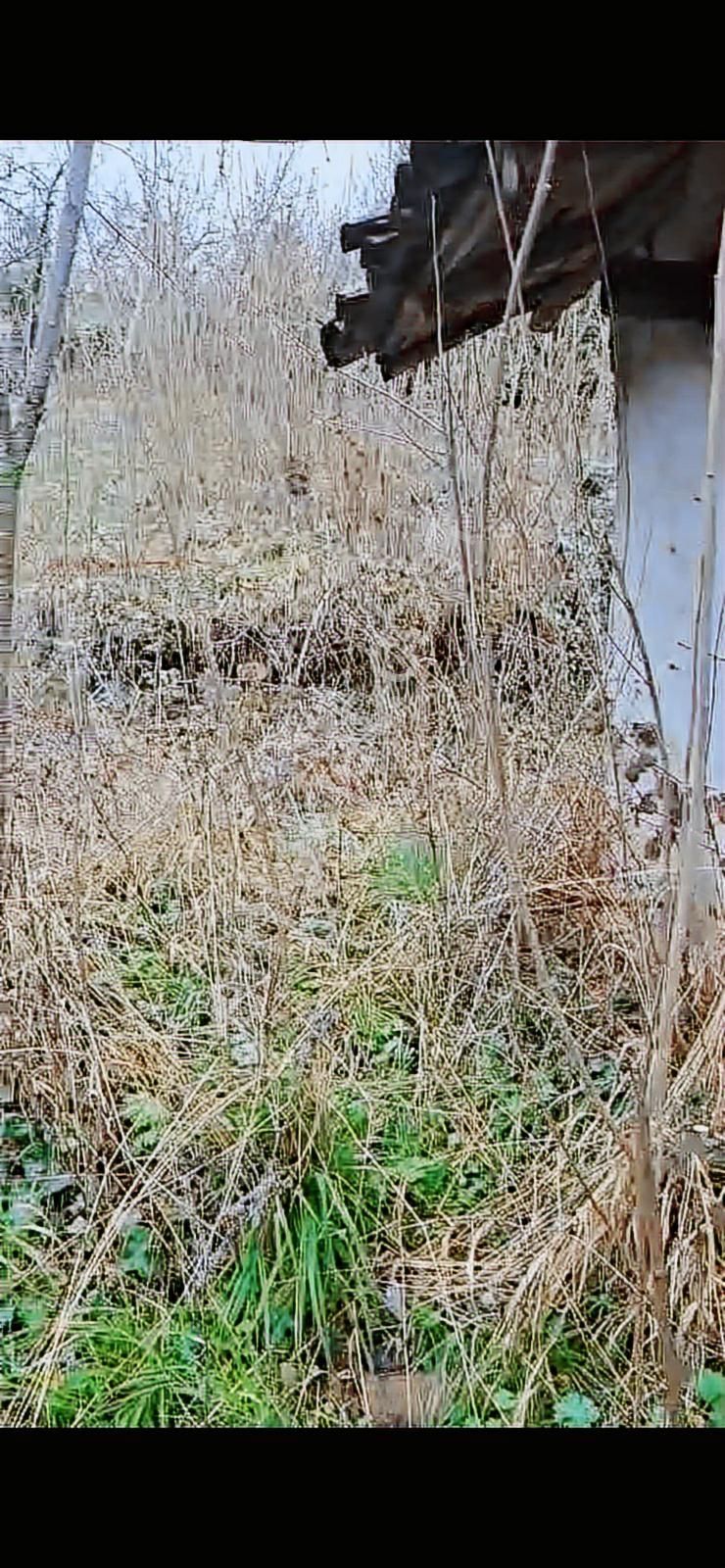 3 Parça Arsamız Satılık - Görsel 5