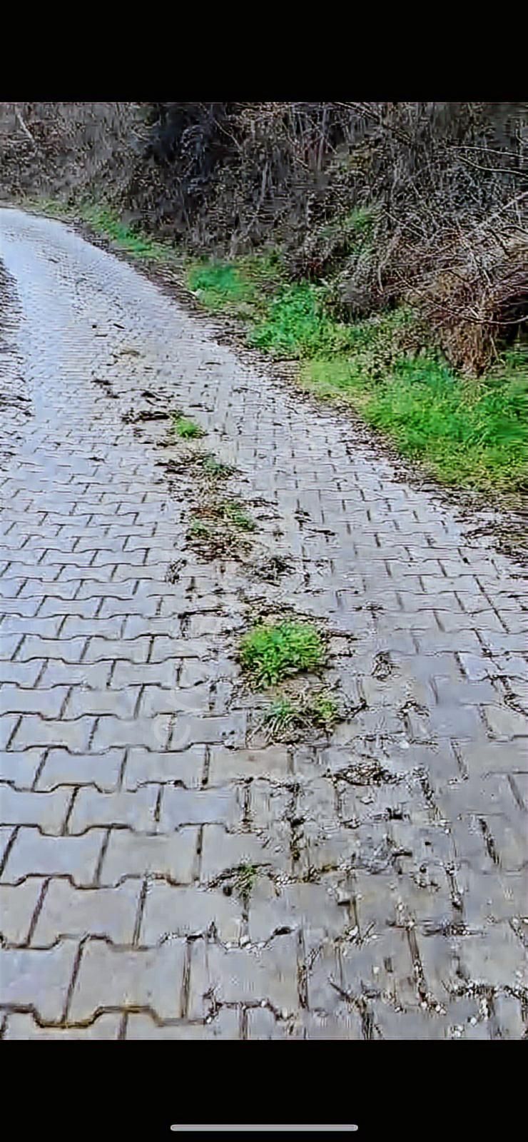 3 Parça Arsamız Satılık - Görsel 14