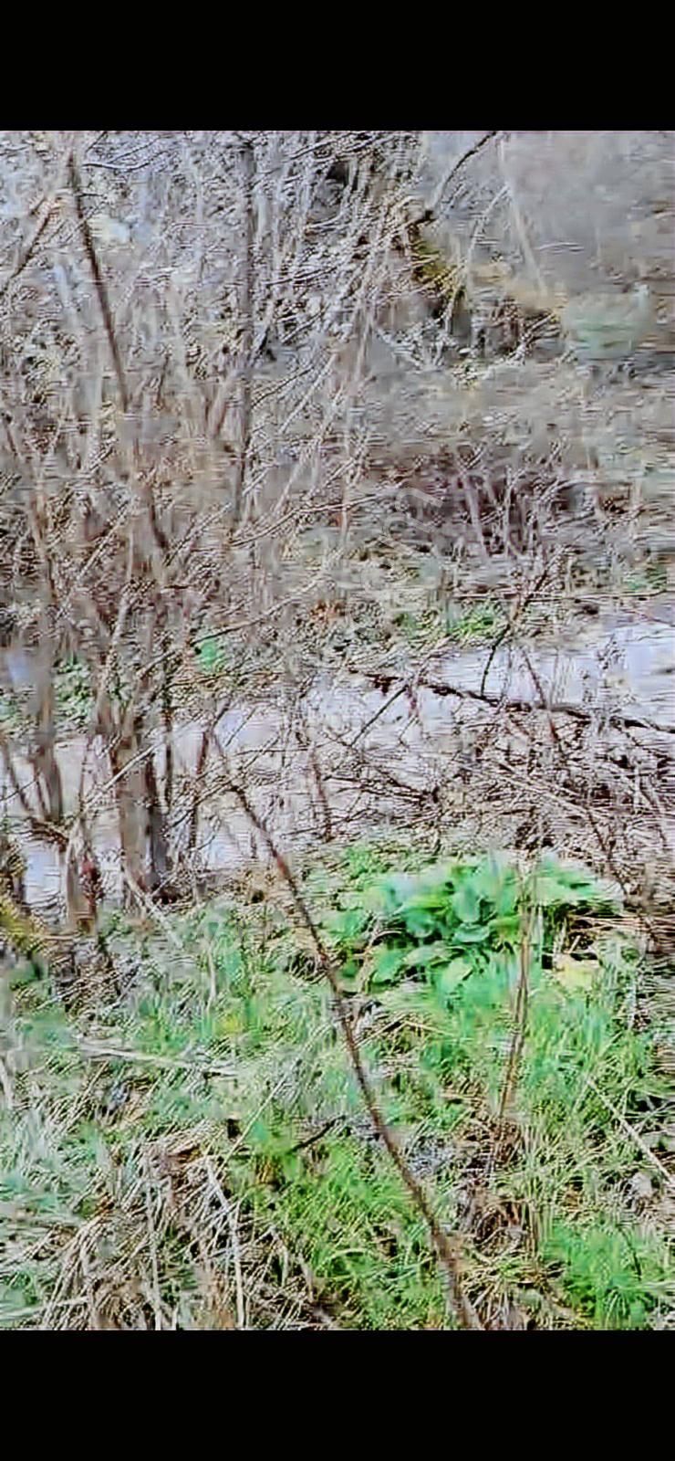 3 Parça Arsamız Satılık - Görsel 8