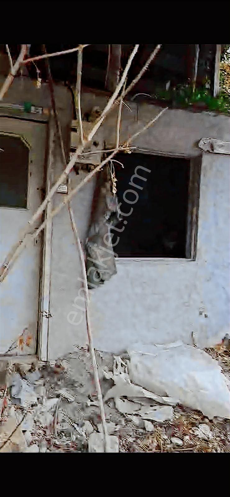 3 Parça Arsamız Satılık - Görsel 35