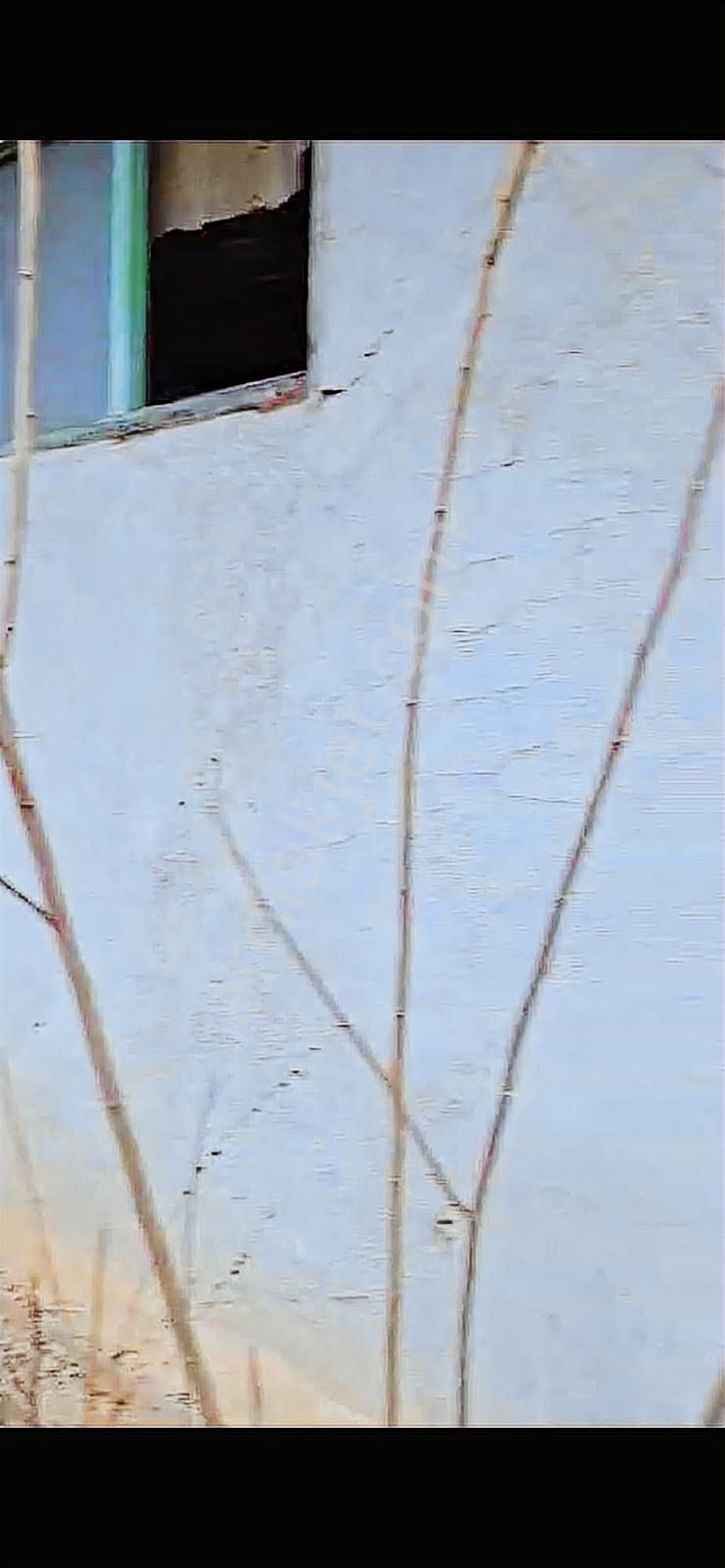 3 Parça Arsamız Satılık - Görsel 12