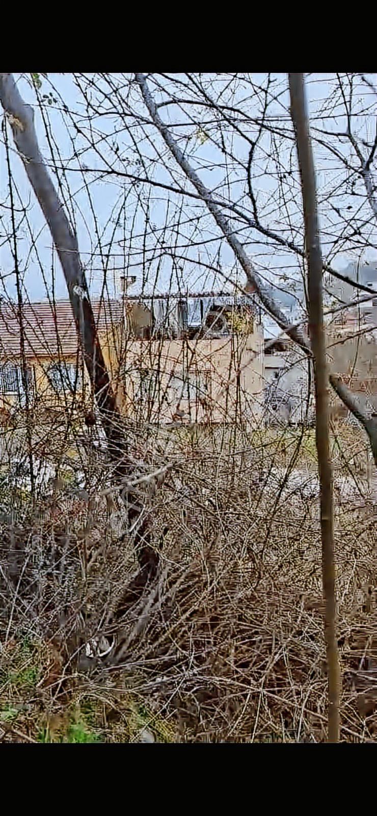 3 Parça Arsamız Satılık - Görsel 30