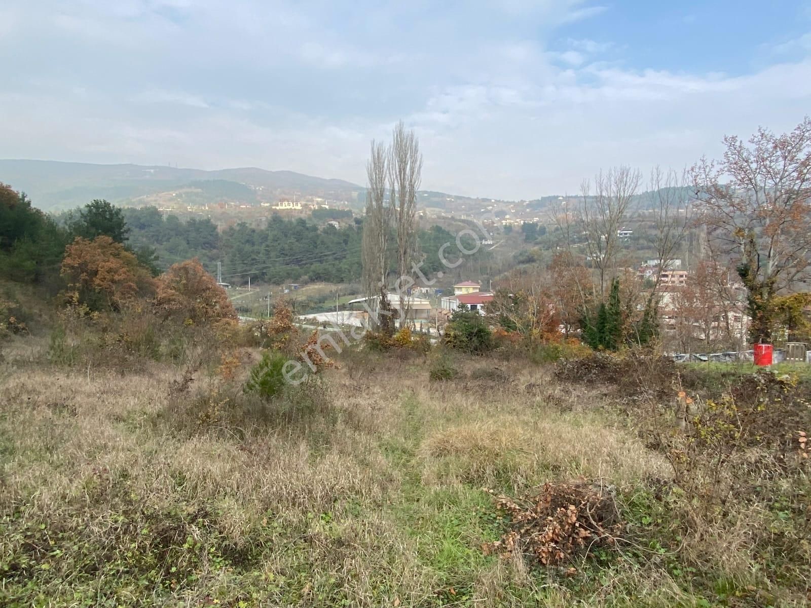 Remax Hür'den Geyve Alifuatpaşa'da 6.423 M2 Satılık Bağ - Görsel 8