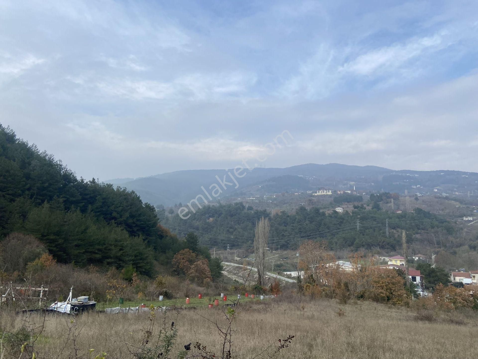 Remax Hür'den Geyve Alifuatpaşa'da 6.423 M2 Satılık Bağ - Görsel 6