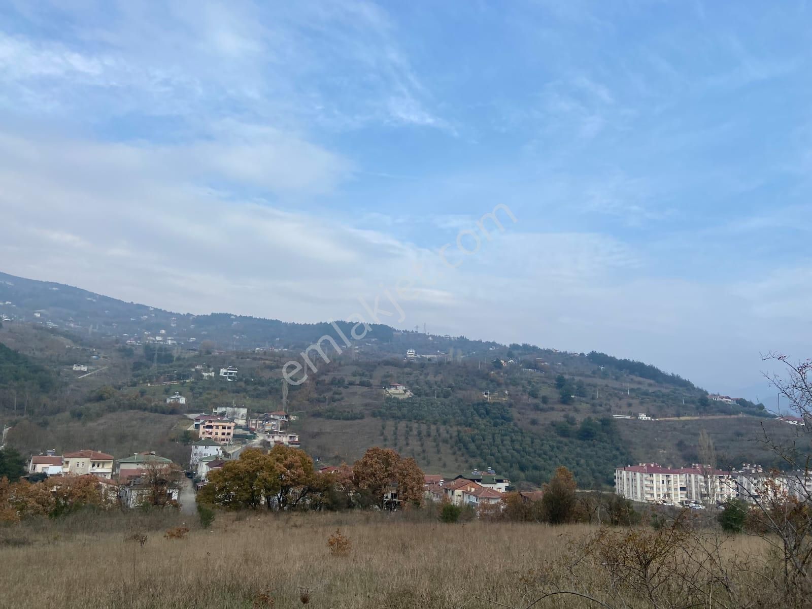 Remax Hür'den Geyve Alifuatpaşa'da 6.423 M2 Satılık Bağ - Görsel 2