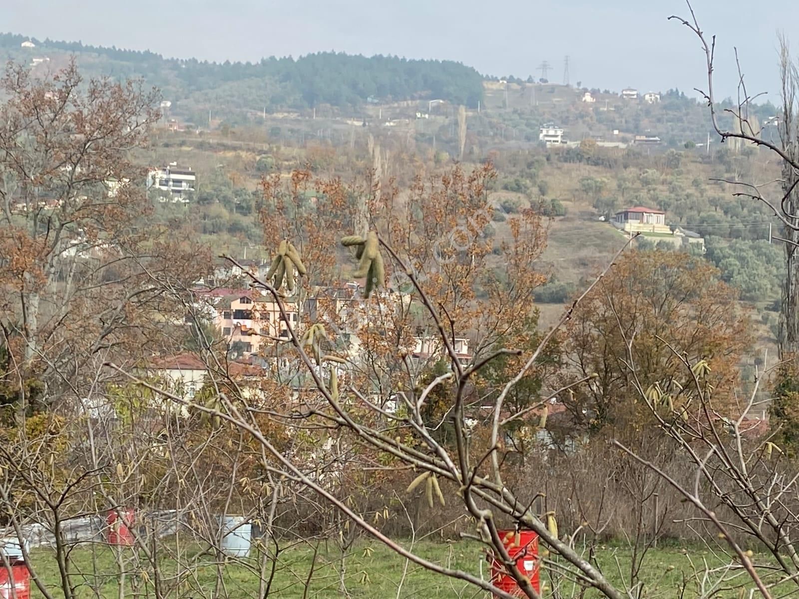 Remax Hür'den Geyve Alifuatpaşa'da 6.423 M2 Satılık Bağ - Görsel 7