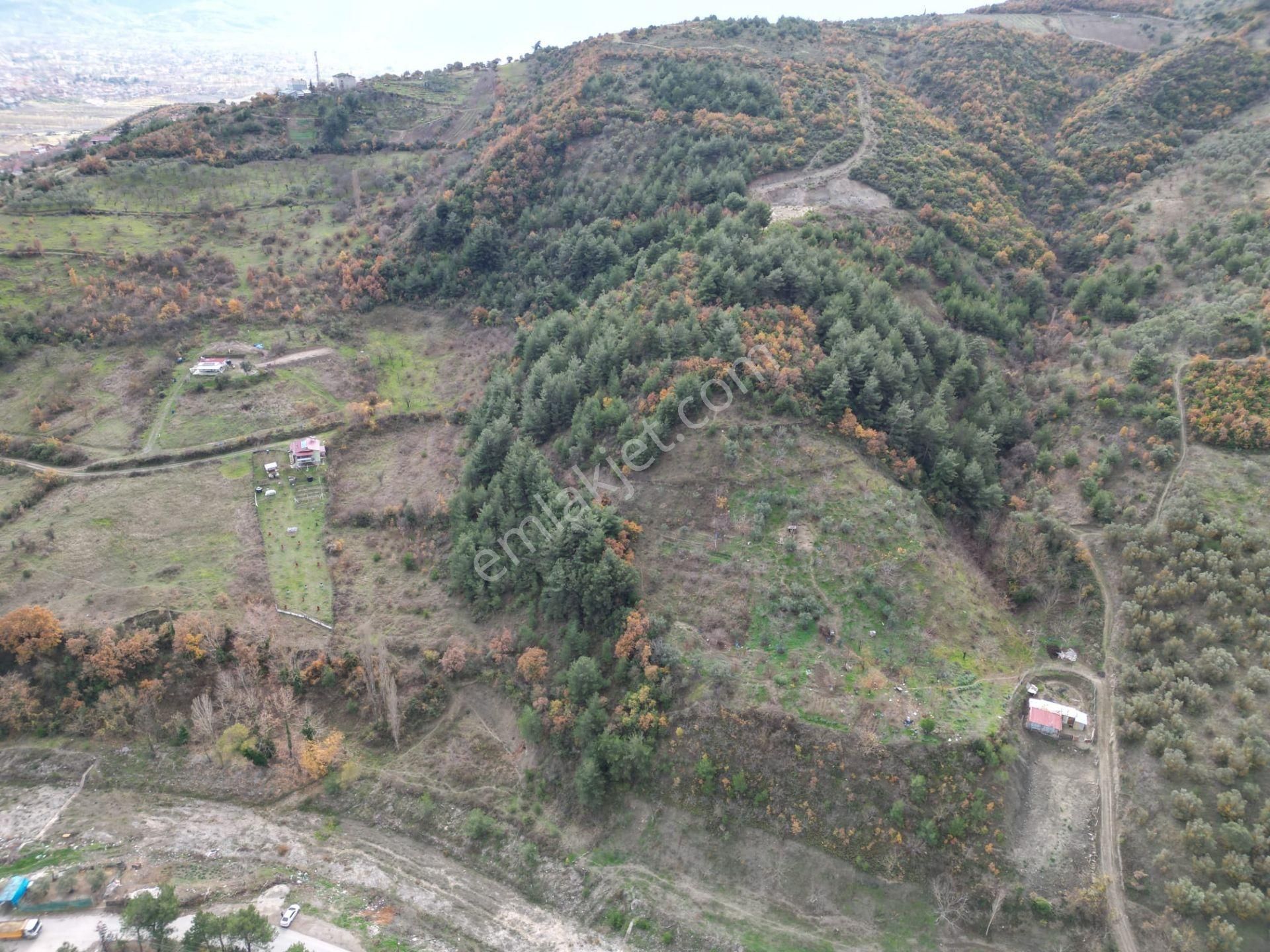 Remax Hür'den Geyve Alifuatpaşa'da 6.423 M2 Satılık Bağ - Görsel 5