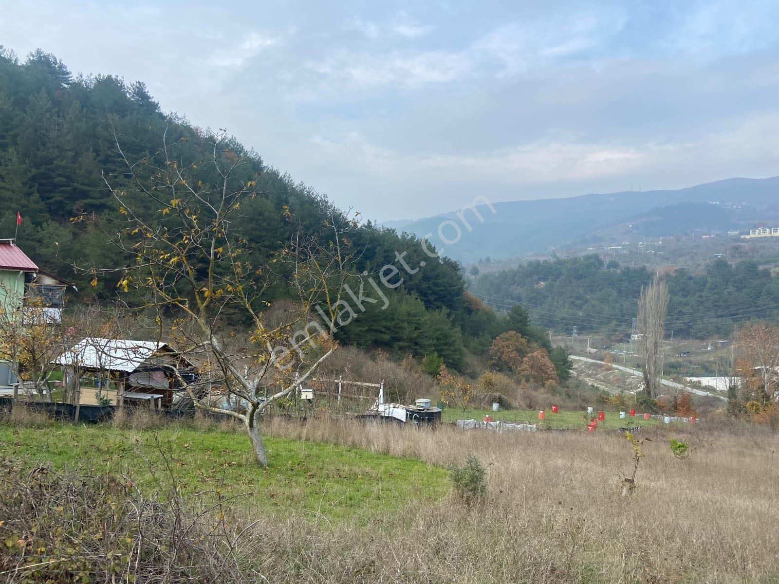 Remax Hür'den Geyve Alifuatpaşa'da 6.423 M2 Satılık Bağ