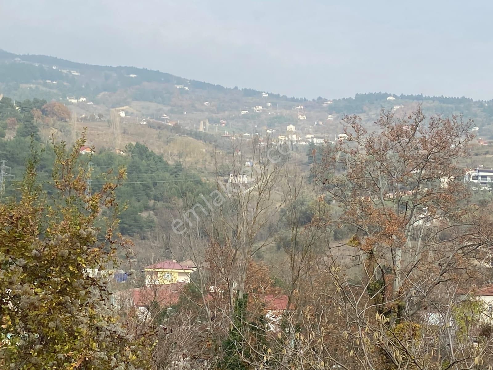 Remax Hür'den Geyve Alifuatpaşa'da 6.423 M2 Satılık Bağ - Görsel 19