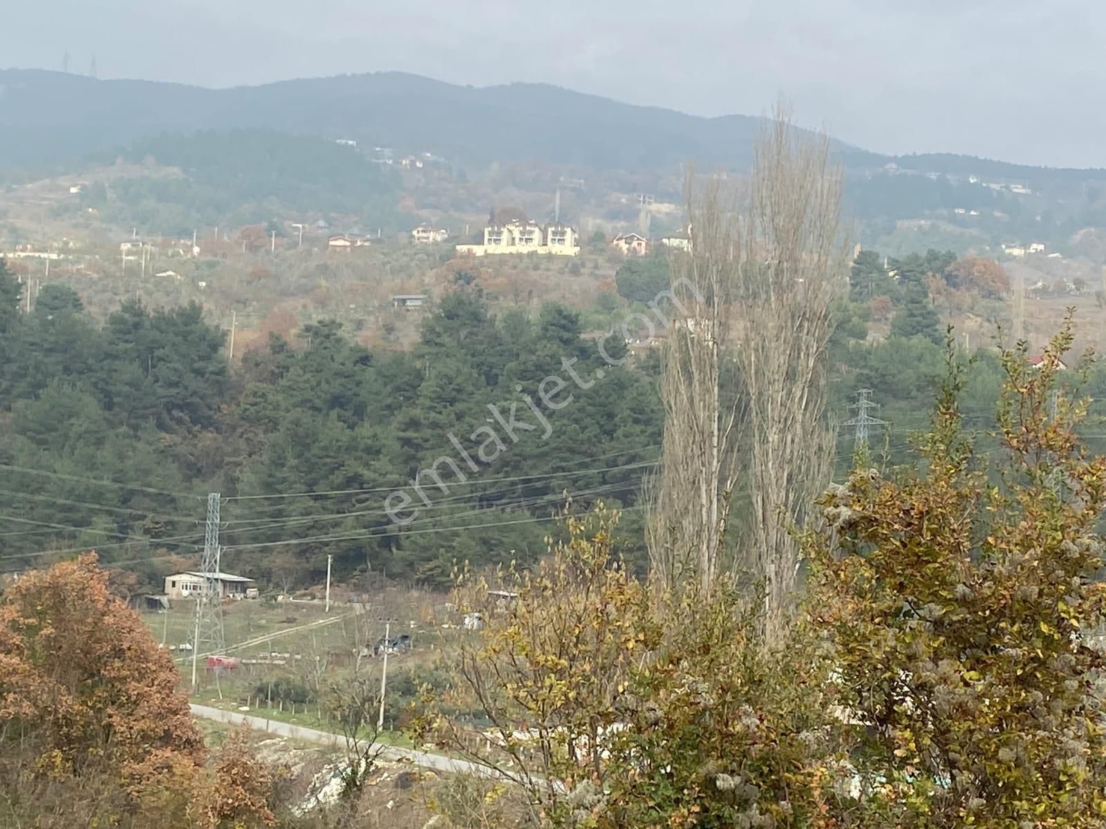 Remax Hür'den Geyve Alifuatpaşa'da 6.423 M2 Satılık Bağ - Görsel 9