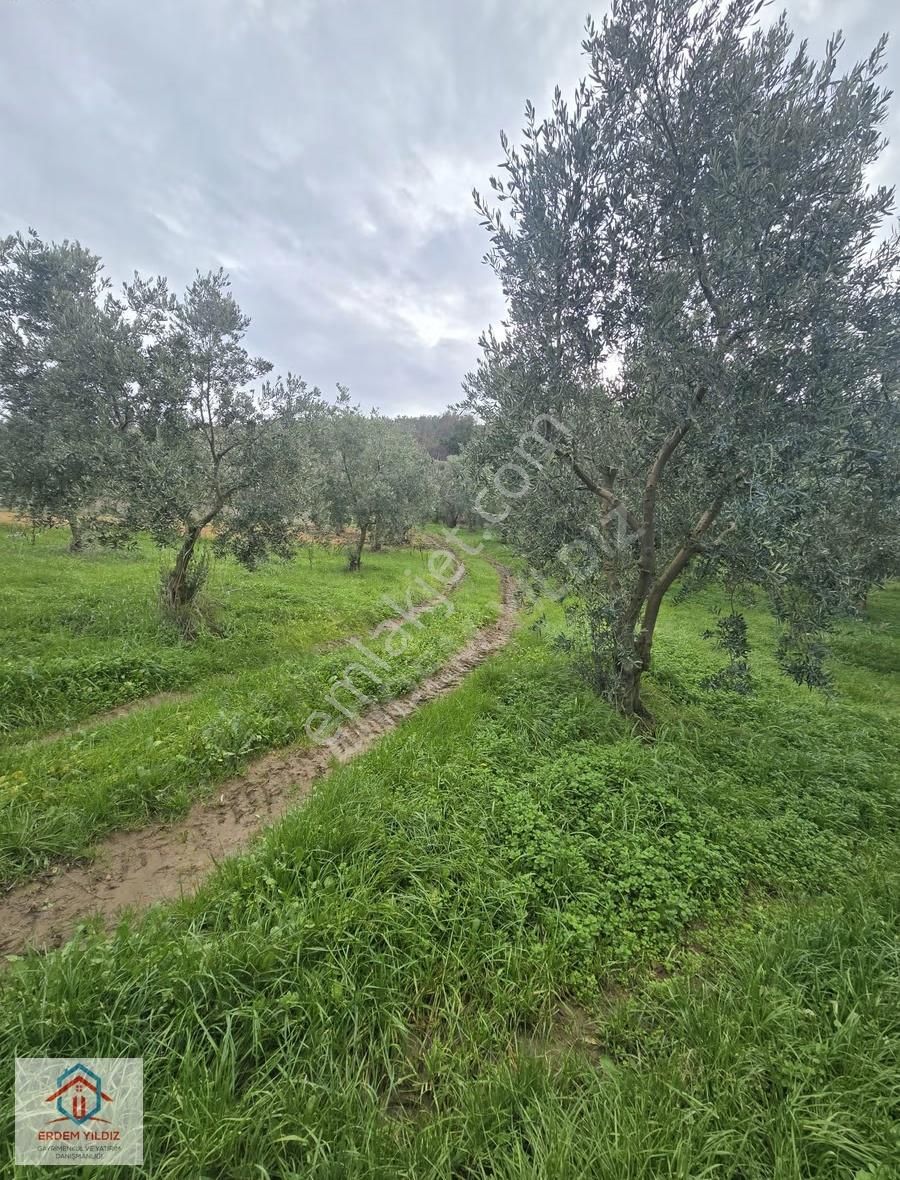Erdem Yıldız'dan Göl Manzaralı Çok Bakımlı Yan Yana 2 Adet Arazi - Görsel 10