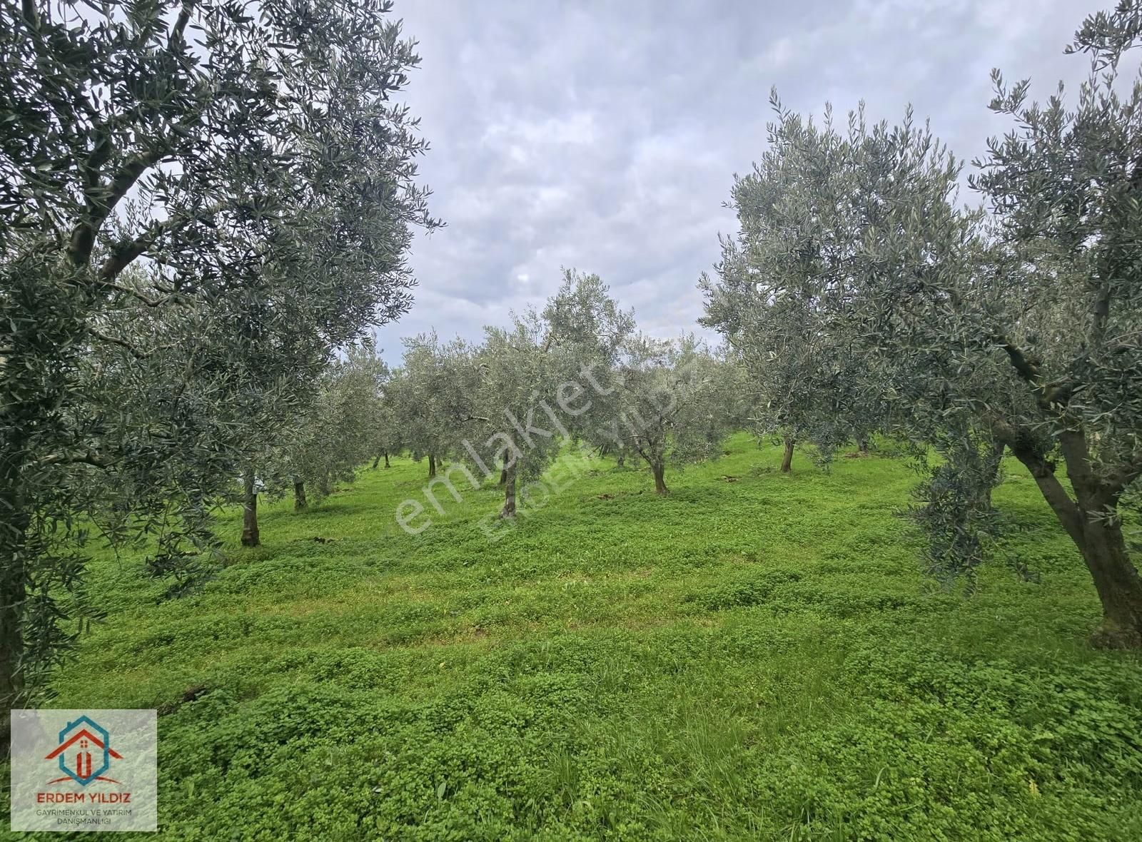 Erdem Yıldız'dan Göl Manzaralı Çok Bakımlı Yan Yana 2 Adet Arazi - Görsel 18