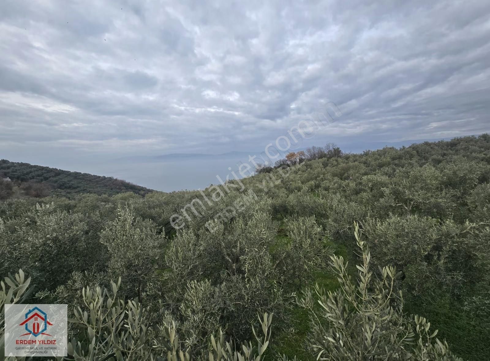 Erdem Yıldız'dan Göl Manzaralı Çok Bakımlı Yan Yana 2 Adet Arazi - Görsel 16